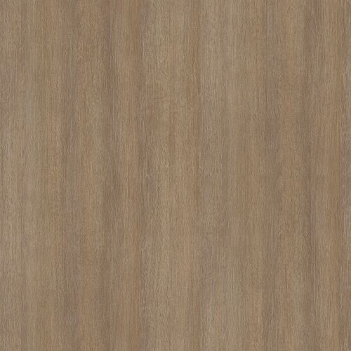 R20286 NW Dub italský