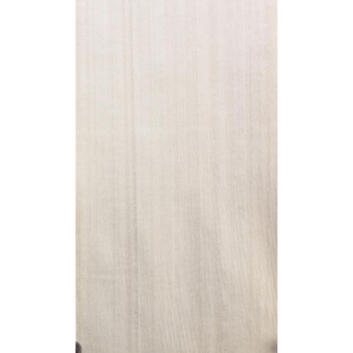 E5.007 - Eucalyptus Muta
