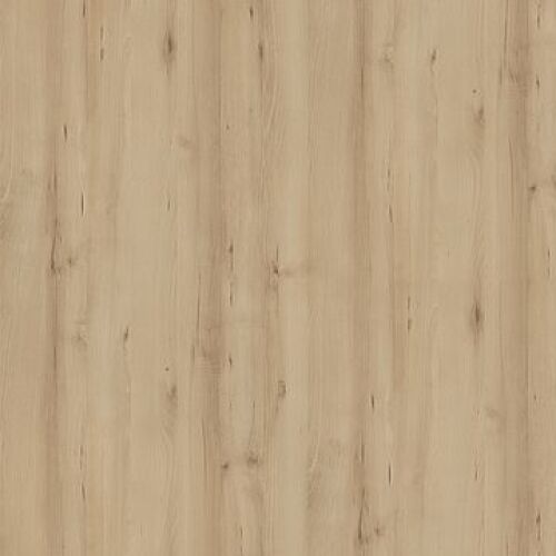 R24030 NW Buk Scandic světlý