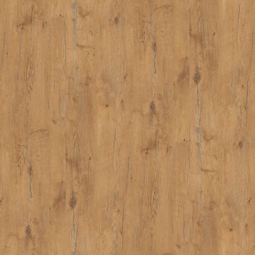 R20027 Pale Lancelot Oak