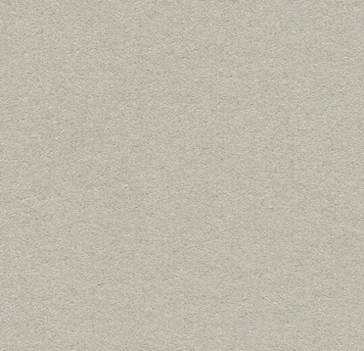 2206 Oyster Shell