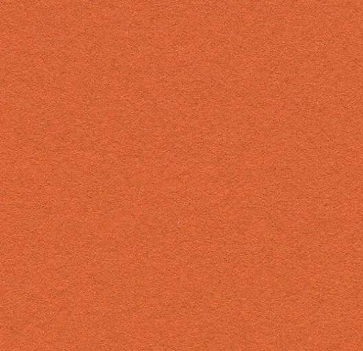 2211 Tangerine Zest