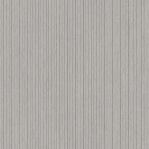 R20459 NW Connery Dolphin