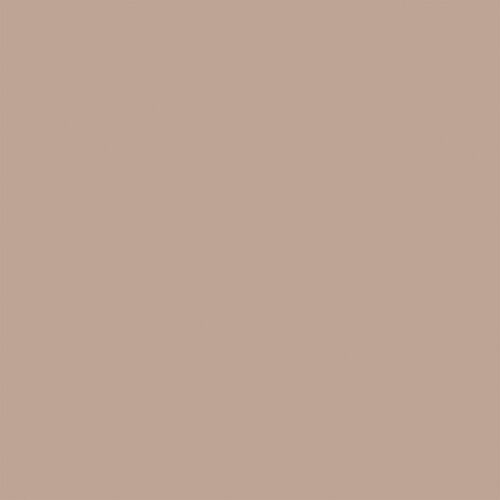 0542-VE (DUSTY EARTH)
