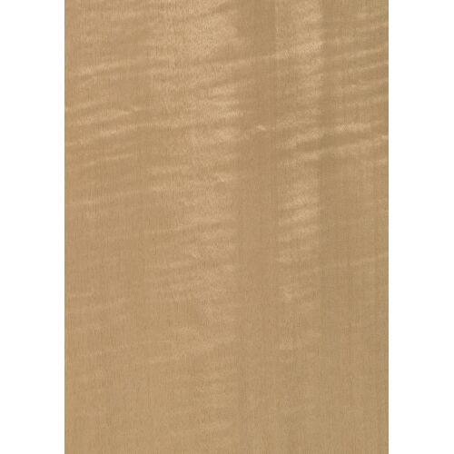 01.S.062 - Tanganyika Frisé