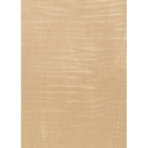 09.S.003 - Maple Frisé