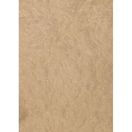 46.004 - Madrona Burl