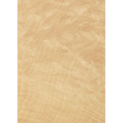 46.013 - Madrona Burl