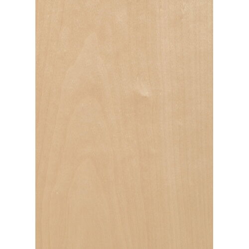 C3.010 - American Cherry Tree