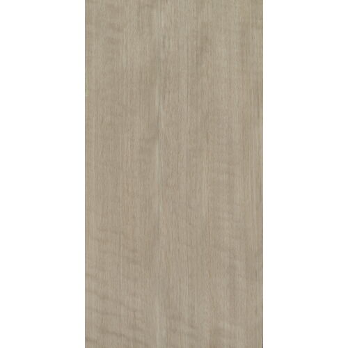E5.S.017 - Eucalyptus Frisé