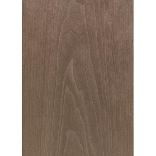 C3.018 - American Cherry Tree