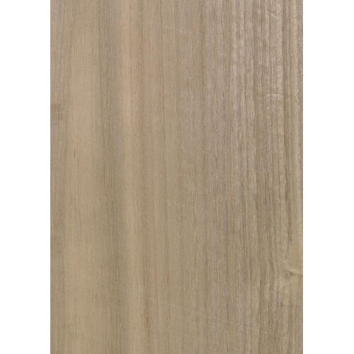 E5.B03 - Eucalyptus