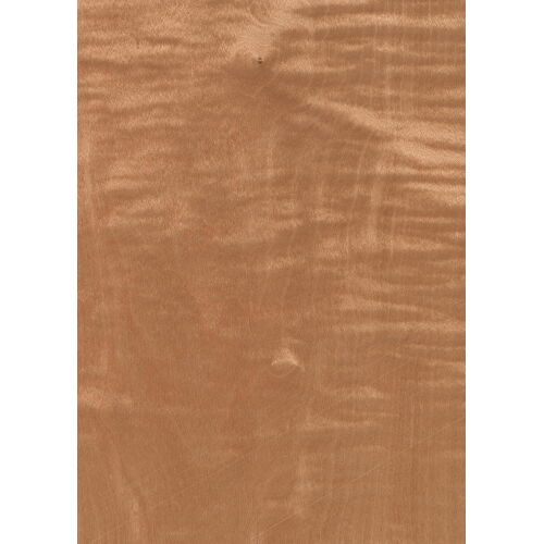 09.S.004 - Maple Frisé