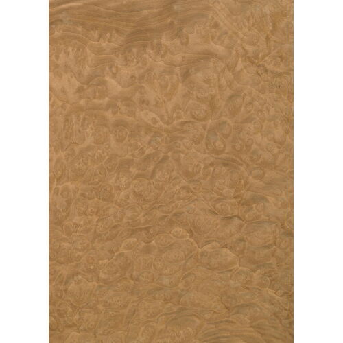 46.002 - Madrona Burl