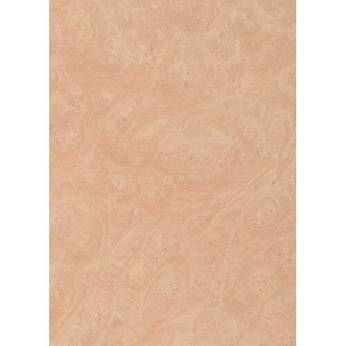 46.003 - Madrona Burl