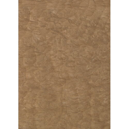 46.006 - Madrona Burl