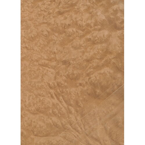 46.007 - Madrona Burl