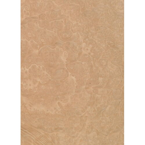 46.031 - Madrona Burl