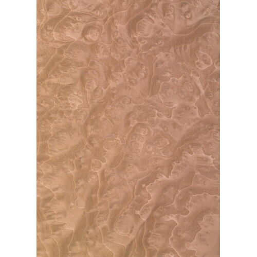 46.043 - Madrona Burl