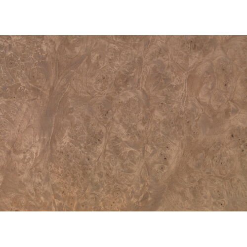 99.042 - Persian Walnut Burl