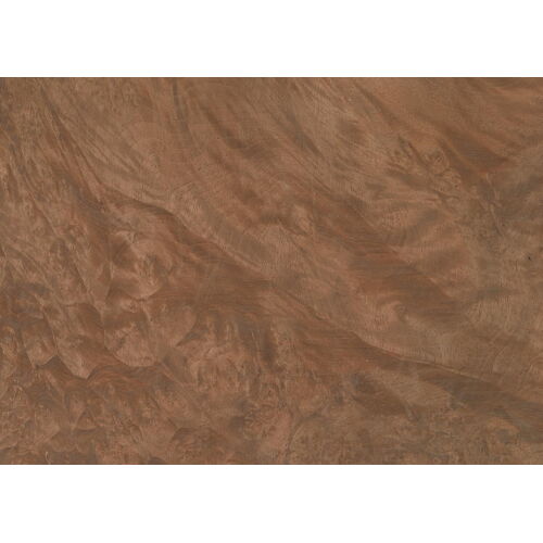 99.044 - Persian Walnut Burl