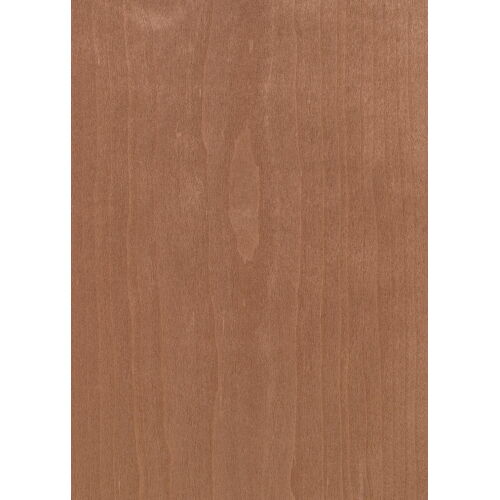 C3.013 - American Cherry Tree
