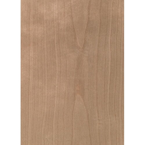 C3.014 - American Cherry Tree