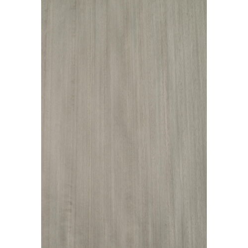 E5.015 - Eucalyptus