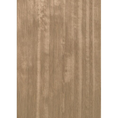 E5.118 - Eucalyptus