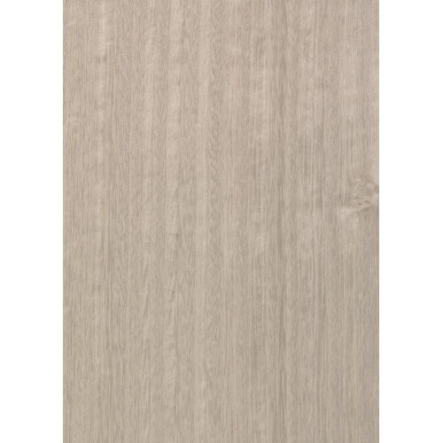 E5.119 - Eucalyptus