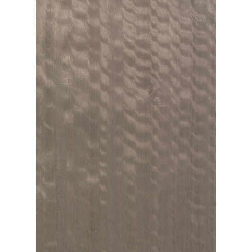 E5.S.002 - Eucalyptus Frisé