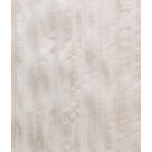 E5.S.007 - Eucalyptus Frisé
