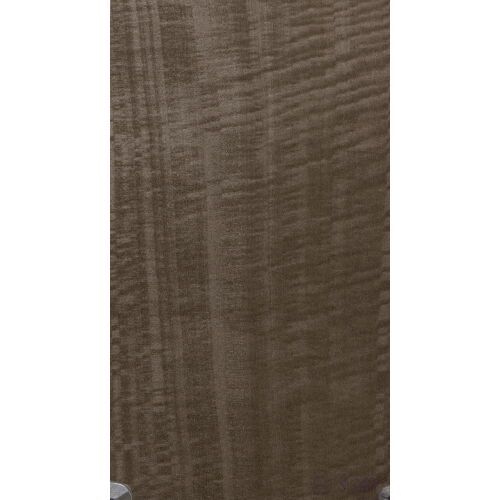 E5.S.010 - Eucalyptus Frisé