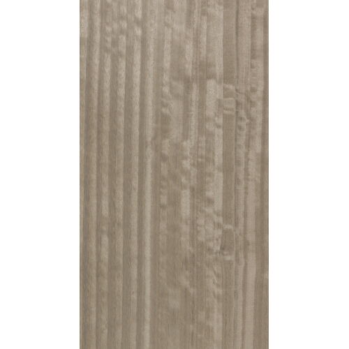 E5.S.012 - Eucalyptus Frisé