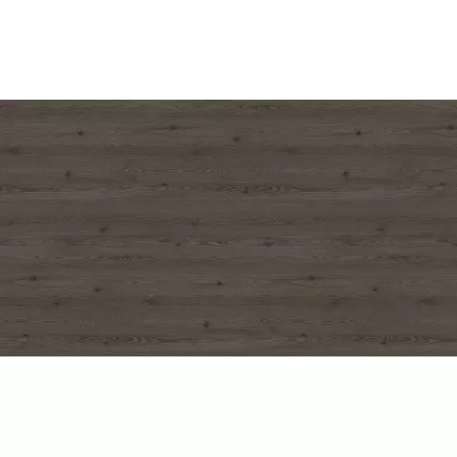 H3406 ST38 Anthracite Mountain Larch