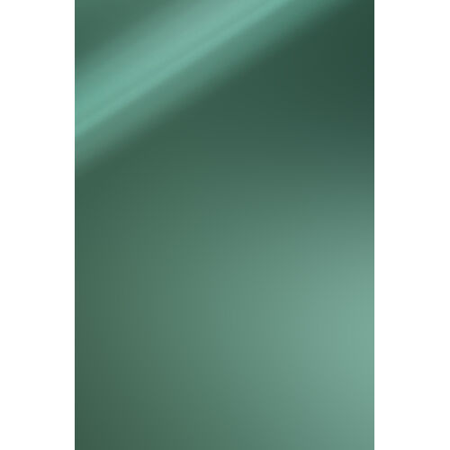 476 Alu Mirror Polished Moss Green