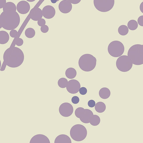 OR0A (ORGANIC Violet)