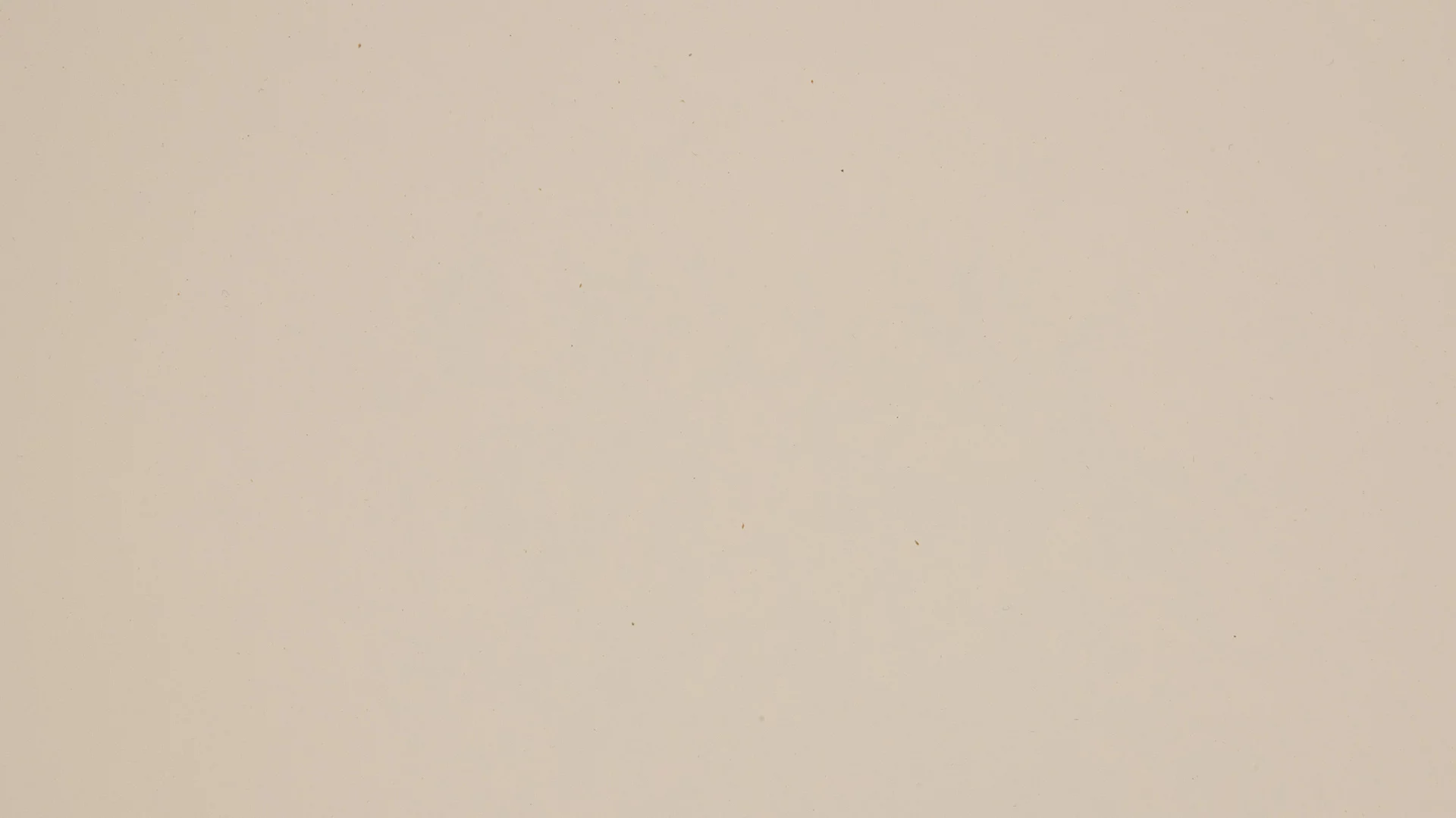 0218 (Beige)