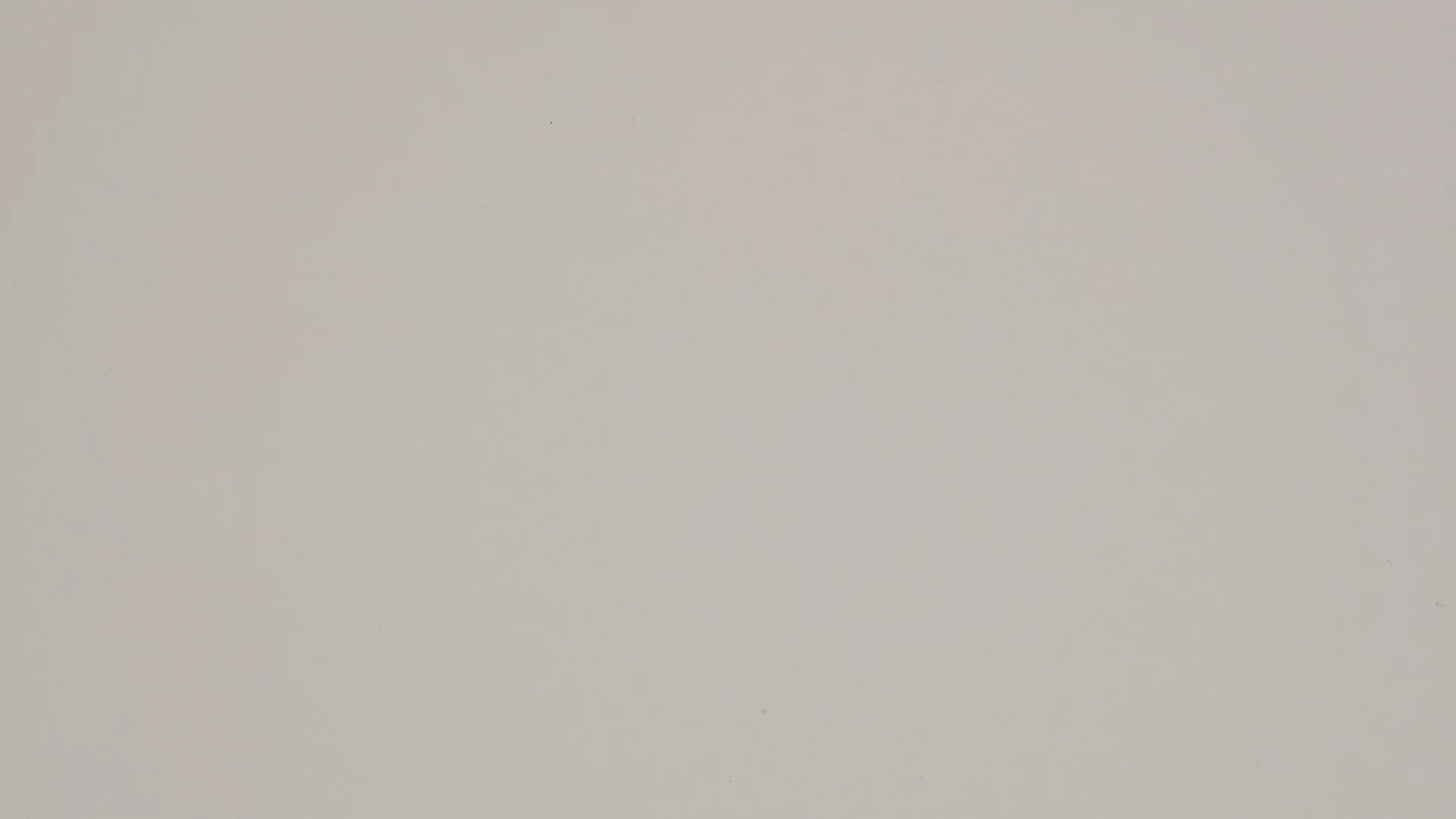 0254 (Grigio Gabbiano)