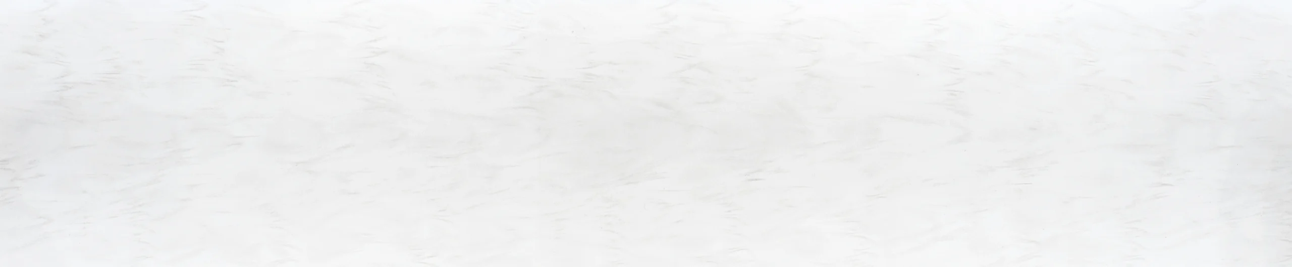 CC-008 (Wave)
