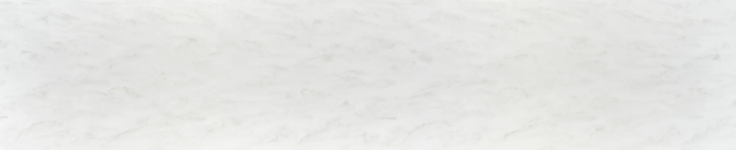 CS-401 (Misty White)
